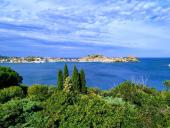 PD: Biscotteria creativa, si inventano coordinamenti monopersonali e assessori inesistenti