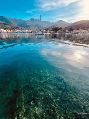 La Foto del Giorno (8 apr.)