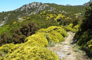 Giornata Europea dei Parchi 2025 gli eventi gratuiti tra mare, isole e sentieri nel Parco Nazionale Arcipelago Toscano