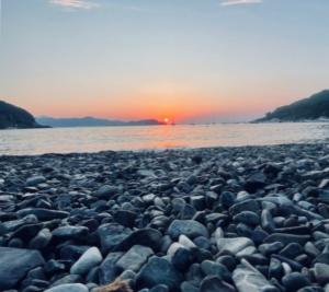 La Foto del Giorno (22 ago.)