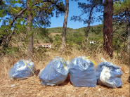 Basta con la discarica infinita di rifiuti gettati lungo le strade dell’Isola d’Elba