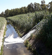 Meneghin: come (virtuosamente) in altri tempi si realizzavano opere pubbliche