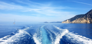 La Foto del Giorno (16 mag.)