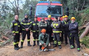 Cade un pino sulla strada di Straccoligno: intervento tempestivo per ripristinare sicurezza e viabilità