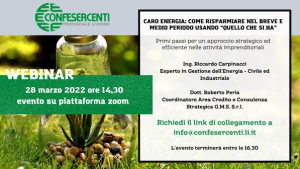 Webinar di Confesercenti sul caro energia: "come risparmiare nel breve e medio periodo usando quello che si ha"
