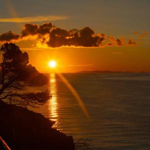 La Foto del Giorno (20 mar.)