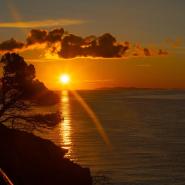 La Foto del Giorno (20 mar.)