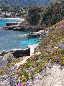 La Foto del Giorno (17 mag.)