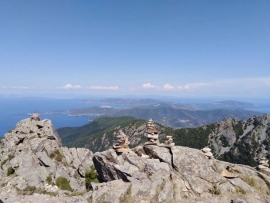 Forza Italia: Sul comune unico la decisione spetta ai cittadini. Bene lo screening di massa isolano