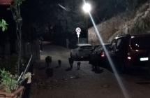 San Piero, ancora cinghiali in paese nella notte di sabato
