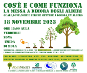 Il 18 novembre Festa dell’Albero a Mola