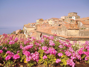 Capoliveri:  posticipata riapertura del centro di raccolta - ESA si scusa