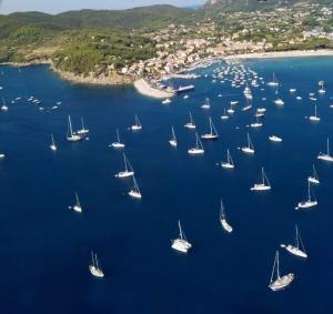 Due finanziamenti di 50.000 euro  per migliorie ai porti di Campo e del Giglio