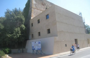 &quot;Situazione sanitaria Covid: prospettive di cura e di prevenzione&quot;, il resoconto del convegno dell&#039;A.M.M.I.