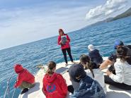 “SantuaRIO Pelagos”: educazione ambientale e tutela dei cetacei nel mare dell’Isola d’Elba