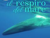 8 Giugno - Giornata mondiale degli Oceani. Il Parco celebra il mare e il Santuario Pelagos
