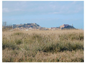 Pulizie di Primavera alle Prade con Italia Nostra