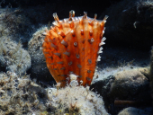 La Foto del Giorno (5 ott.)