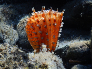 La Foto del Giorno (5 ott.)