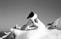 “Vacanze Invernali” - La Foto della Settimana è di Riccardo Galletti