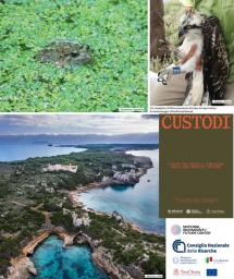 Isole rare tra i progetti migliori nel libro di NBFC e CNR