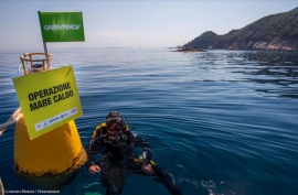 Mare sempre più caldo e perdita di biodiversità: un monitoraggio dell'impatto sul nostro mare