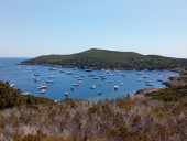 Giannutri: grossi motoscafi, ancorati illegalmente sotto costa, danneggiano biocenosi preziose