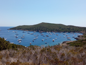 Giannutri: grossi motoscafi, ancorati illegalmente sotto costa, danneggiano biocenosi preziose