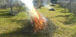 Rischio incendi, entra in vigore al 21 giugno il divieto di abbruciamento di residui vegetali
