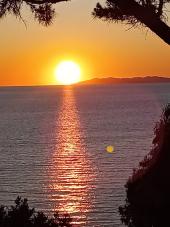 La Foto del Giorno (13 lug.)