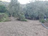 Rio: la Minoranza scrive al Prefetto sulla mancata convocazione di un consiglio post-alluvione