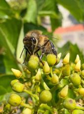 La Foto del Giorno (10 giu.)