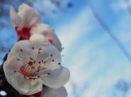 La Foto del Giorno (3 mar.)