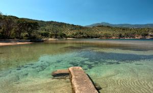 La Foto del Giorno (19 mar.)