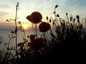 Le condoglianze del Foresi e del Cerboni per la scomparsa della madre della prof.ssa Benassi