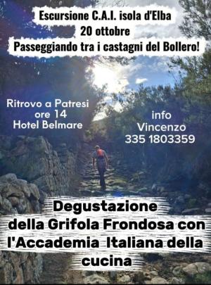 Passeggiando tra i castagni del Bollero con il CAI