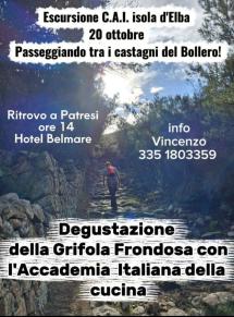 Passeggiando tra i castagni del Bollero con il CAI