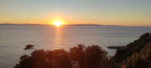 La Foto del Giorno (12 mar.)