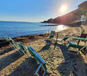 Tartarughe a Sant'Andrea? Tutta una messinscena, svelato l'imbroglio