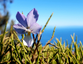 La Foto del Giorno (12 apr.)