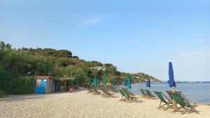 Riaperta la Dog-Beach di Mola, ed ombrelloni gratis sulla Spiaggia longonese della Rossa