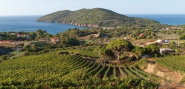 C'era una volta l'Isoletta verde&amp;blu  (Elba paradiso dei single?)  Primo alibi di una distruzione