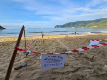E' sempre più "l'Isola delle Tartarughe". Un'altra nidificazione a Lacona
