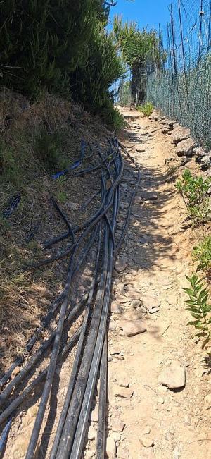 Chiarimento di ASA in merito alla nota di Legambiente Arcipelago Toscano