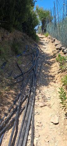 Chiarimento di ASA in merito alla nota di Legambiente Arcipelago Toscano