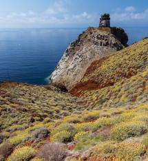 Capraia, al via i lavori per proteggere gli habitat dalle piante aliene invasive