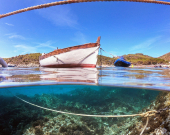 La Foto del Giorno (28 mar.)