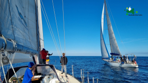 IsolaMondo si racconta