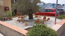 Un'aiuola rinasce grazie ai cittadini: il ringraziamento del Comune di Portoferraio