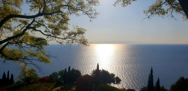 La Foto del Giorno (24 apr.)